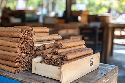 CIgar-festival.jpg