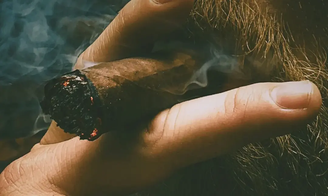 bearded-man-smoking-best-sweet-cigars-by-jon-tyson-unsplash.thumb.webp.c470d103bb86e29d588a9b12950e769a.webp