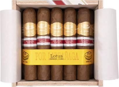 por-larranaga-lotus.jpg