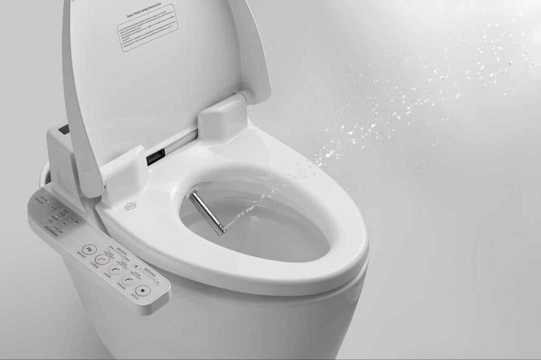 1Nobelpeaceprizetoiletseat.jpg.cd17388078a0d91db9aef317018dd732.jpg