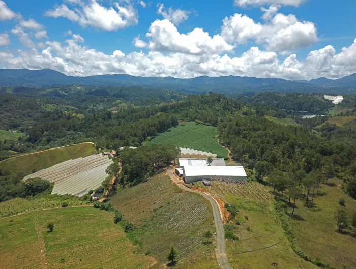 Aerial-view-Natura-Cigars.webp.1c58d828fe3f06515b710f6e103ae2b5.webp