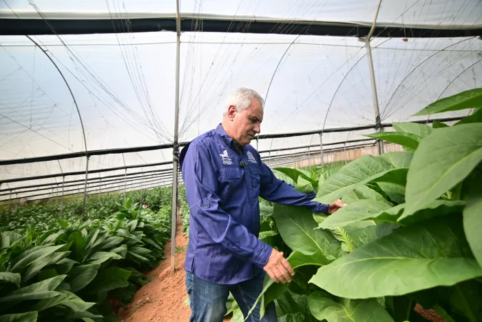 Jacob-Yfrach-at-the-Farm-Natura-Cigars.webp.bd2475cdff887abb1647d9e37a218de3.webp