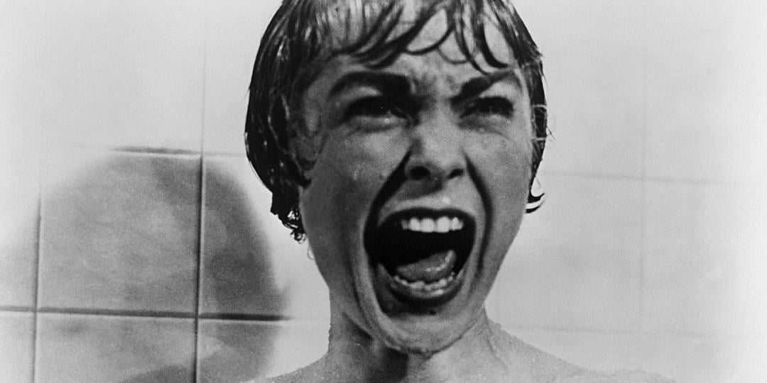 Janet-Leigh-in-Psycho.jpg.b9a72e4cf47a8f243fe564628dcc2220.jpg