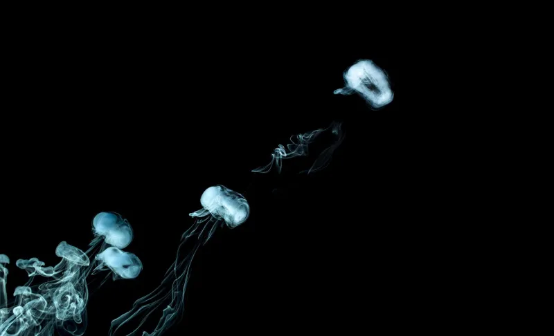 smoke-2350729_1280.webp.e293347ca9300c1b93de0aefba19fe44.webp