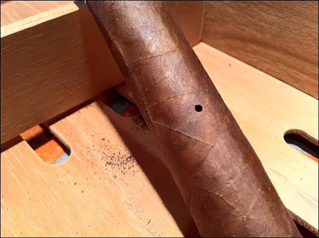 cigar_beetle_holes.jpg.244fdb929df897da3c90f8442c088041.jpg