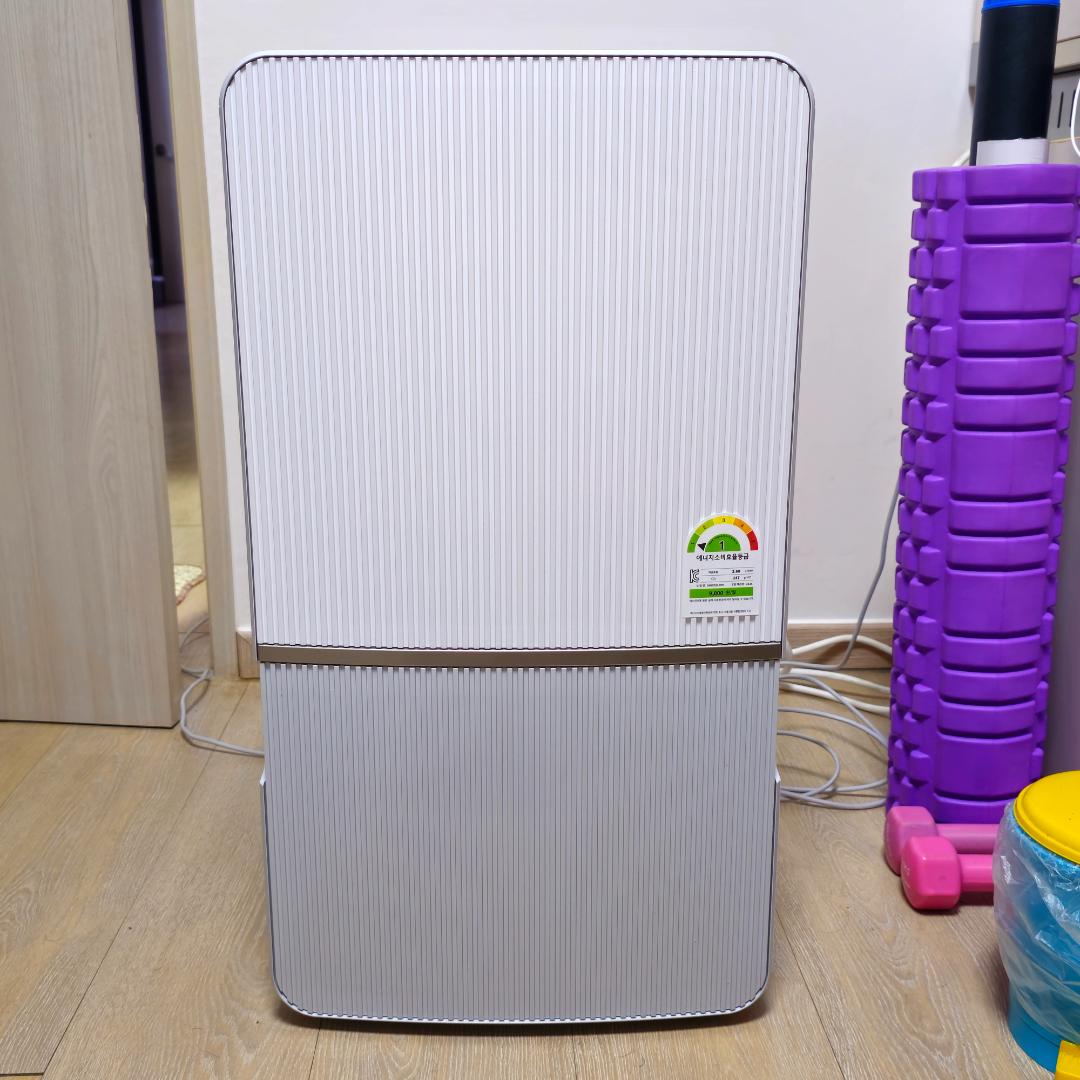 Dehumidifier.jpg.15518534b5917a4b61b845413777e74a.jpg