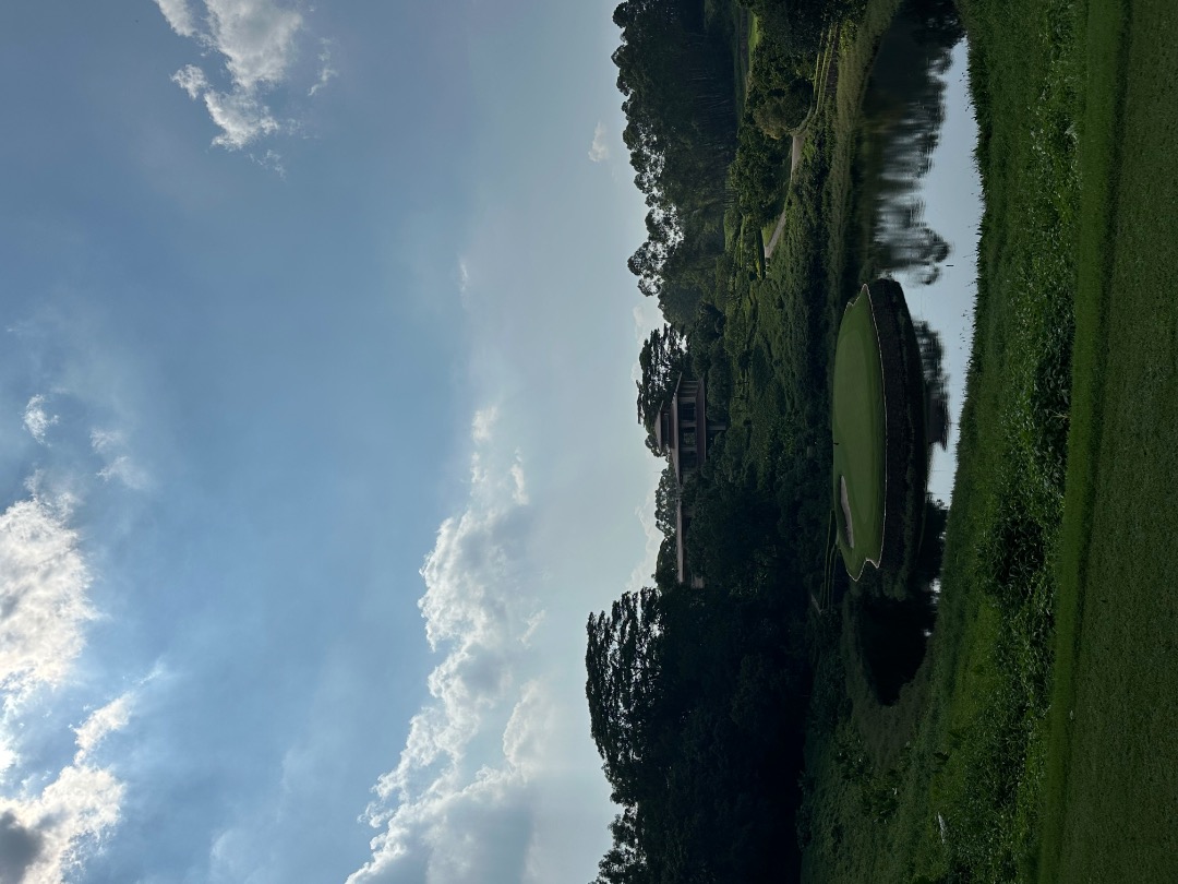 IMG_3858.jpeg.0f3e4a5f745172b34d2ea2e6ad5d416a.jpeg