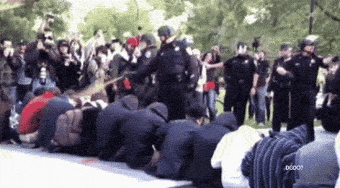 image.gif.cc663e749c39d1273ecb84f6e60036a6.gif