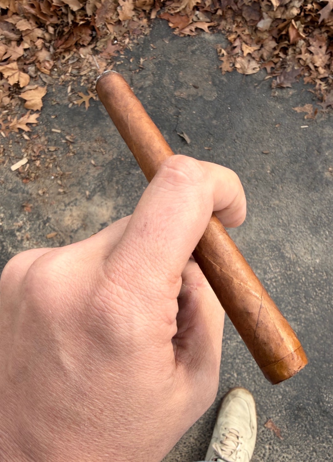 IMG_3549.jpeg.2a948591dda4c4dd4076a4e3badb6ee1.jpeg