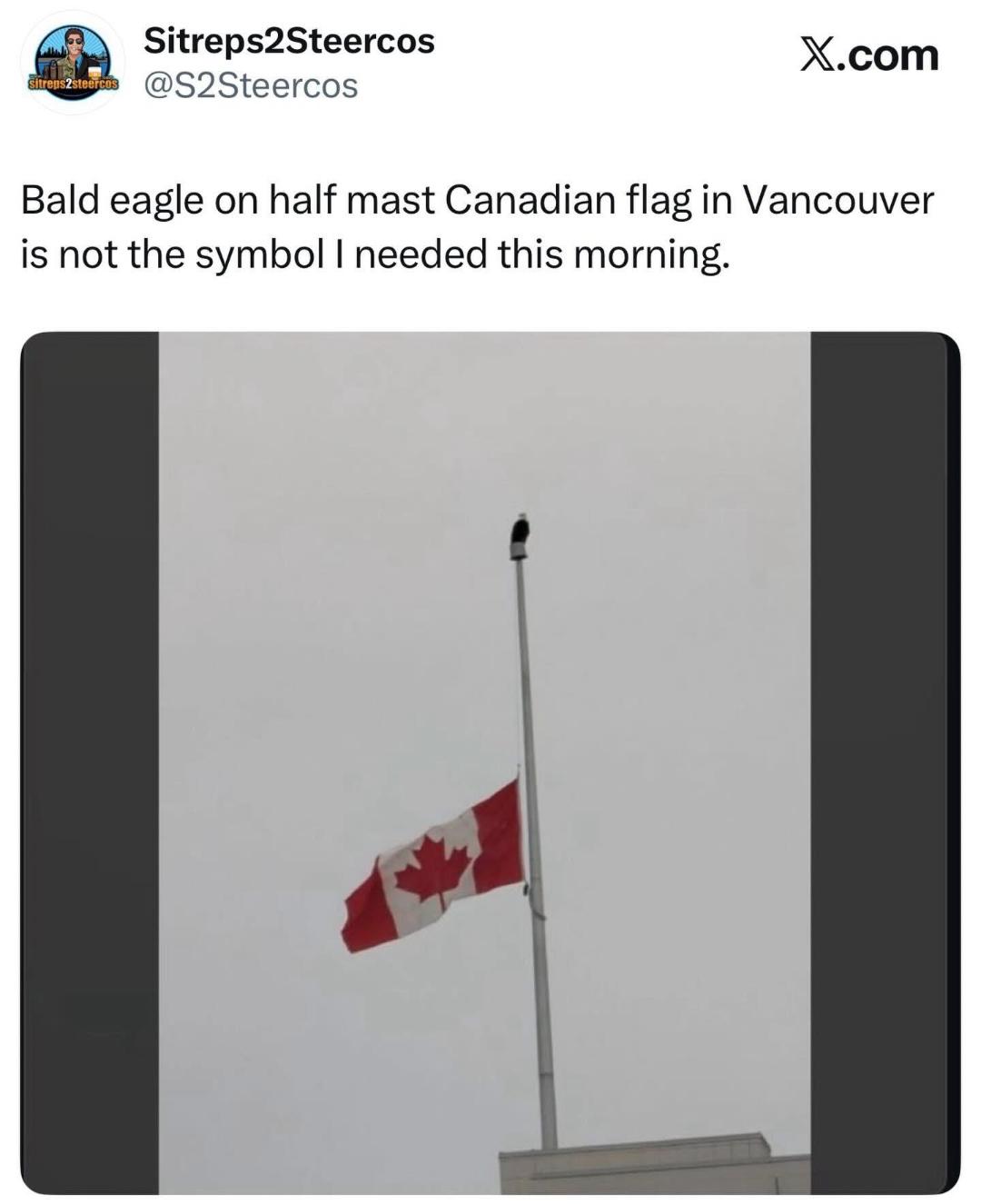 image.jpeg.0f366b57d07d0361eac8f8e4a6419ae7.jpeg