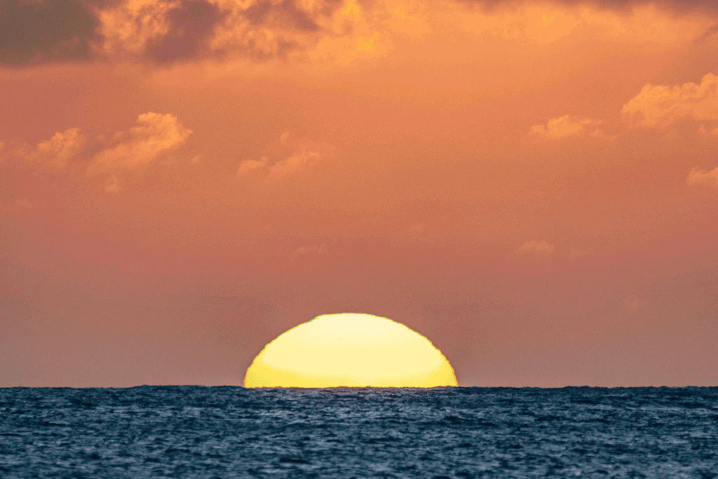 Animation-flash-vert-couchant.gif.cdff9a1459ec8f3f9e9422512a6a5543.gif