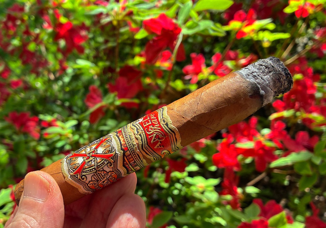 FuenteASrobusto2026.jpeg.09e14b43bbe3735bb57b98e0d3a59f68.jpeg