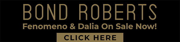 advertisement_alt
