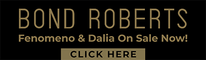 advertisement_alt
