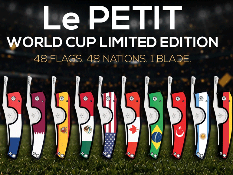 HOMEPAGE-Desktop-Gabarit-Le-PETIT-WORLD-CUP-2.png.b1199aeb09e206ded8d817ab272ec75b.png