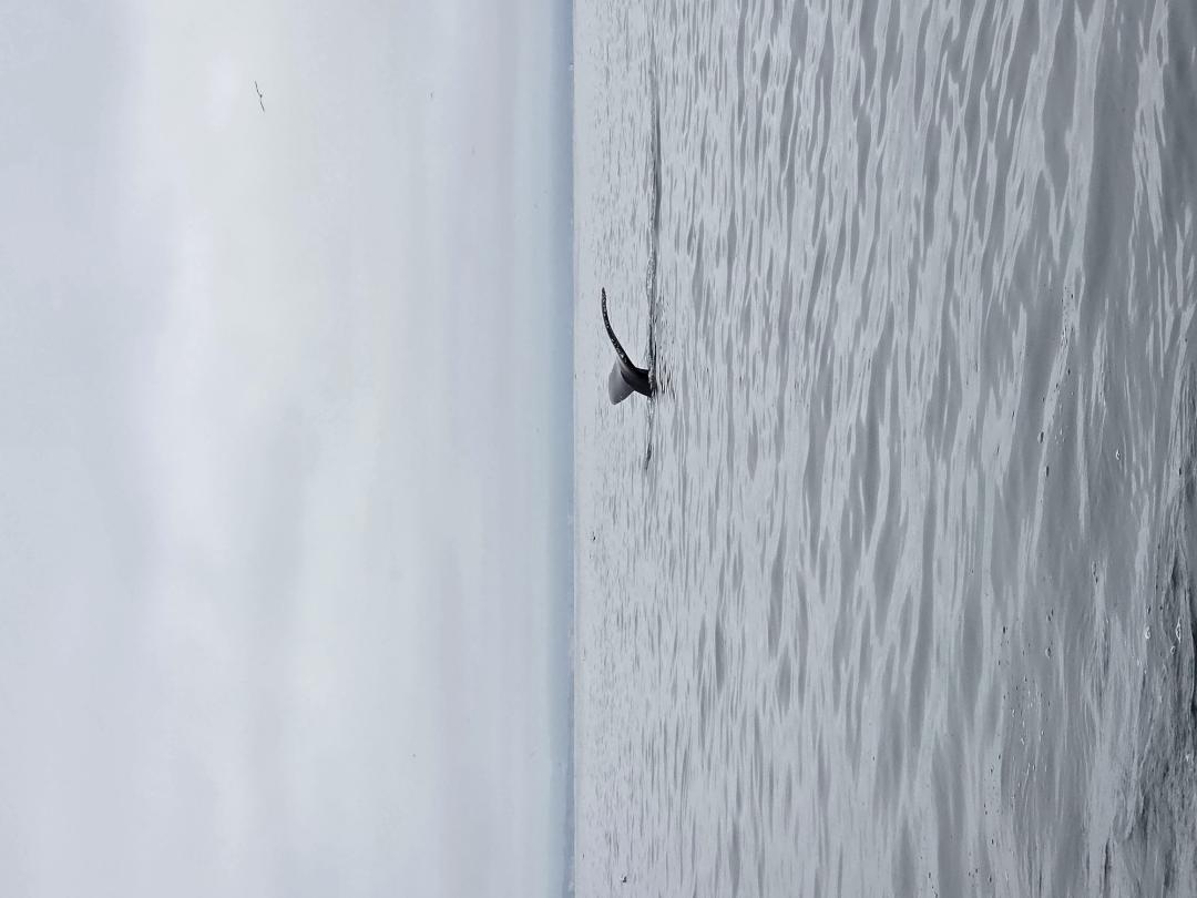 20260705_081611.jpg.60ee8eb8432a39517f6893c2230b3b37.jpg