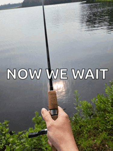 image.png.cdd0dfc8ed8e646cfc08d6bcd6991f60.png
